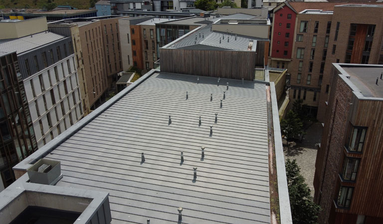 NedZink Roofing Specialists Scotland